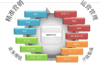 電商運營高手為何不自創品牌？解析平臺開發與運營的深層邏輯