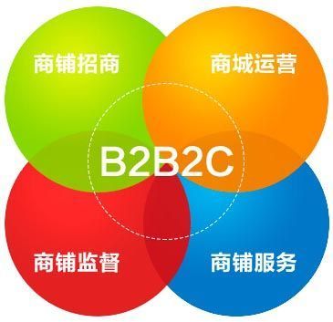 B2B2C商城盈利之道 從系統開發到精細化運營的全景策略